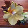Vőlegény kitűző orchideával