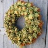 Őszi ajtókoszorú sáfránnyal, narancs-zöld színben